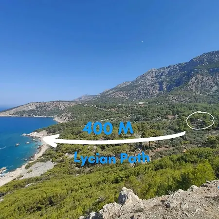 Sapolto Patara * Gavuragili